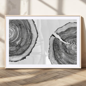 Abstract Large Tree Rings – Minimalist Black and White Wood