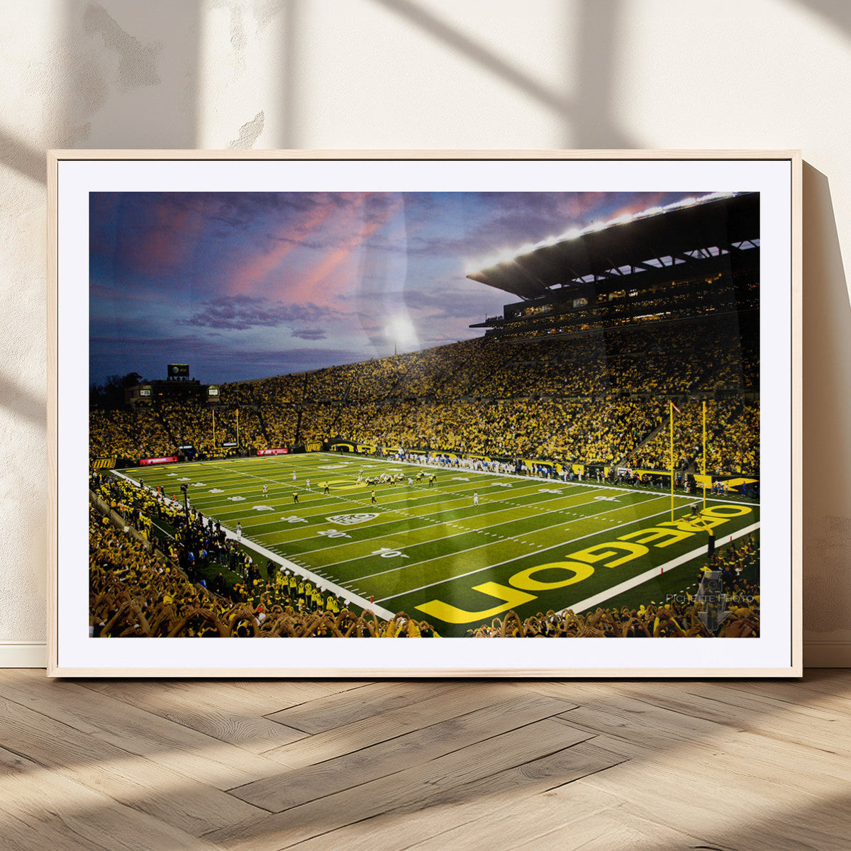 University of Oregon Ducks Football Team Print - Eugene