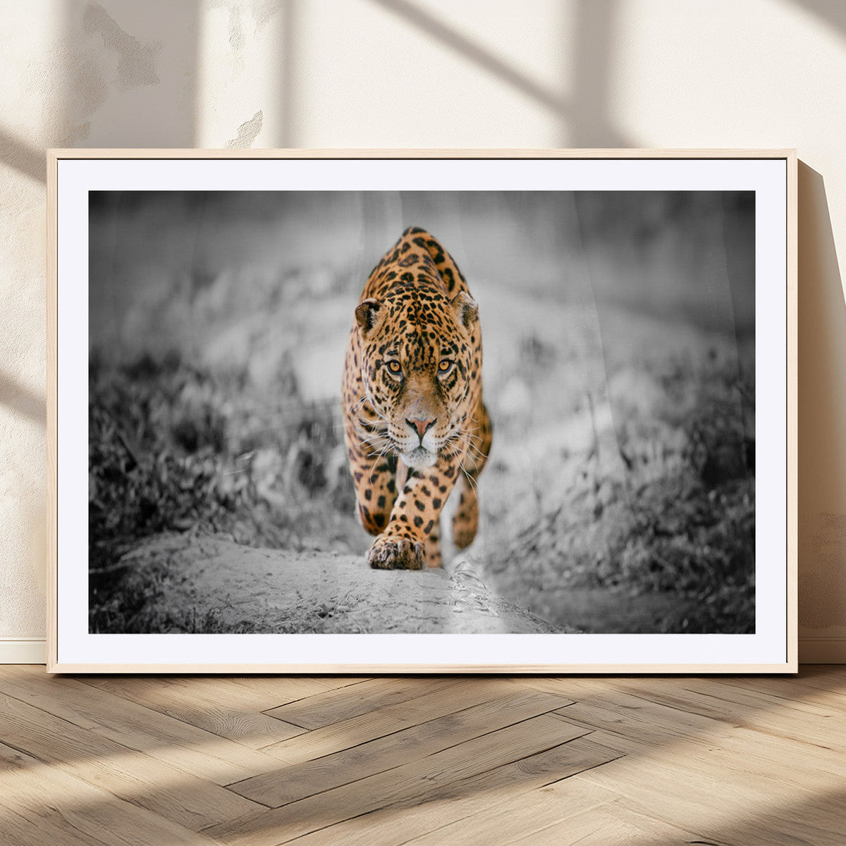 Jaguar Wall Art Canvas Print - Majestic Big Cat in Focused