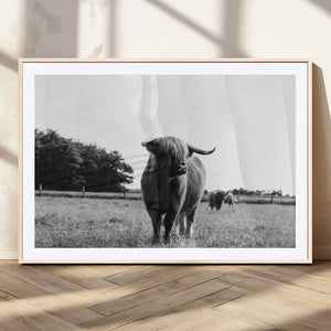 Black and White Highland Cow Wall Art Canvas Print | Rustic