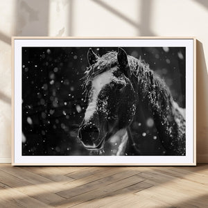 Winter Horse Wall Art | Black and White Horse Print | Ready