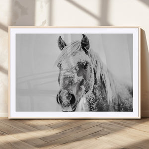 White Horse Wall Art | Ready to Hang and Framed | Winter
