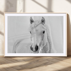 Majestic White Horse Wall Art | Ready to Hang and Framed |