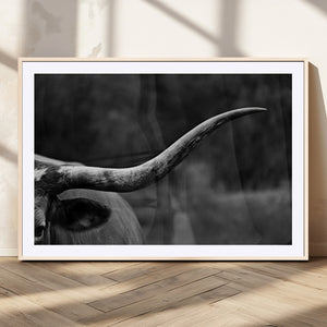 Cow Longhorn Wall Art | Black and White Print | Ready to