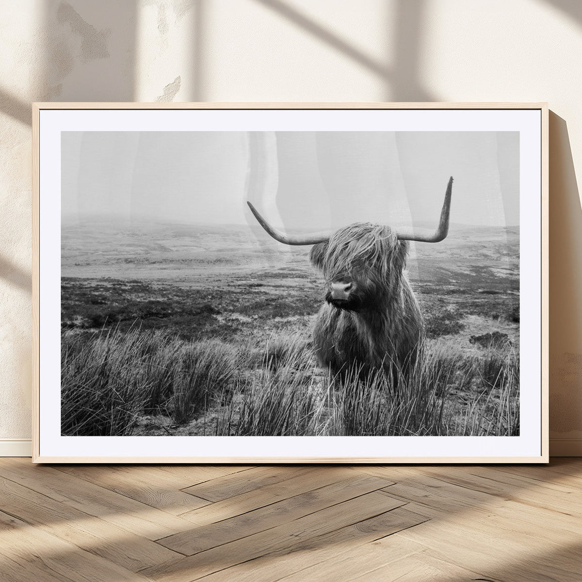 Scottish Highland Cow Wall Art | Black and White Canvas