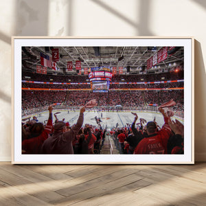 Carolina Hurricanes Ice Hockey Stadium Wall Art, Carolina