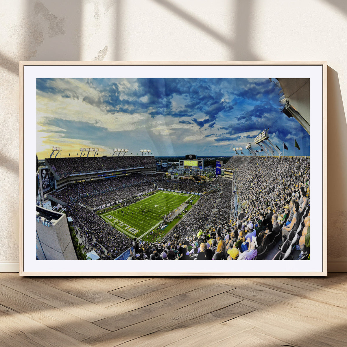 Framed USF Bulls Football Team Print - Tampa Raymond James