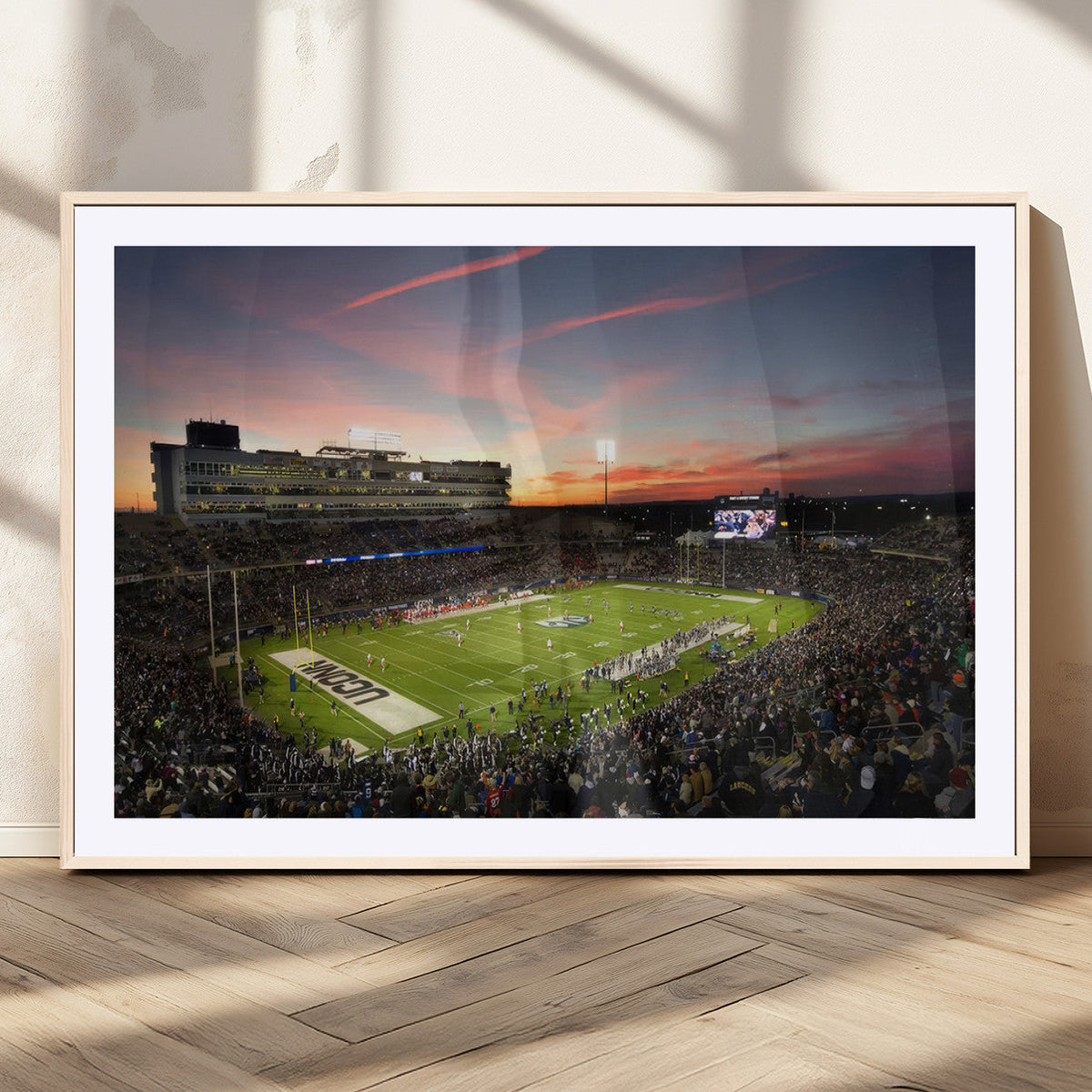 The University of Connecticut UCONN Huskies Football Team
