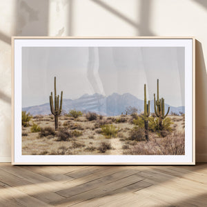 Arizona Desert Wall Art Print | Arizona Desert Canvas Print