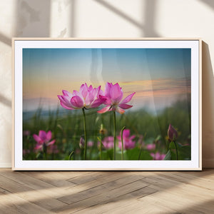 Pink Flower on the Mountain Canvas Print, Framed Pink Flower