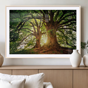 Majestic Ancient Tree Wall Art, NatureCanvas Print, Woodland