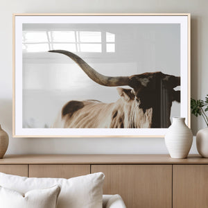 Texas Longhorn Wall Art Canvas Print | 3-Panel Large