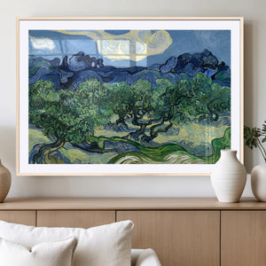 Olive Trees Van Gogh Wall Art Canvas Print