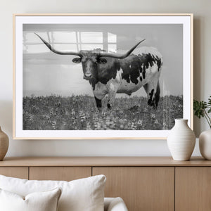 Texas Black White Highland Longhorn Cow Wall Art Canvas