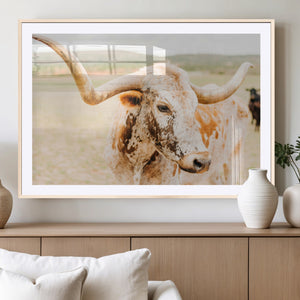 Texas Longhorn Wall Art Canvas Print – Framed Spotted Cow