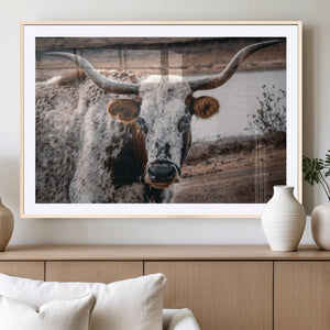 Texas Longhorn Wall Art Canvas Print – Framed Spotted Bull