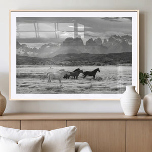 Wild Horses Wall Art Canvas Print – Framed Black and White