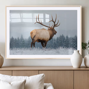 Elk Wall Art Canvas Print – Framed Snowy Forest Scene Art