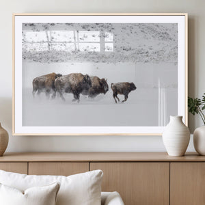 Bison Herd Decor Wall Art Canvas Print – Framed Snowy Bison