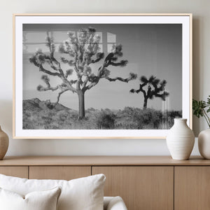 Joshua Tree Wall Art Canvas Print – Framed Monochrome Desert