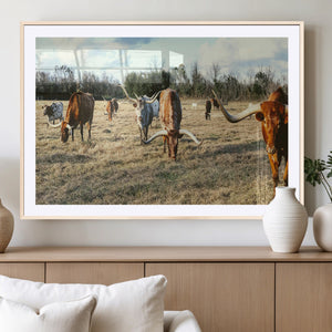 Texas Longhorns Wall Art Canvas Print – Framed Rustic Farm