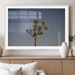 Joshua Tree Wall Art Canvas Print – Framed Southwestern