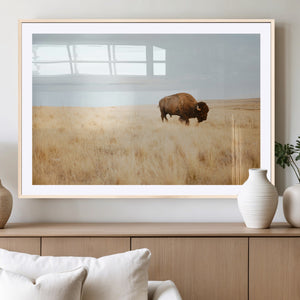 Buffalo Wall Art Canvas Print – Framed Western Wildlife