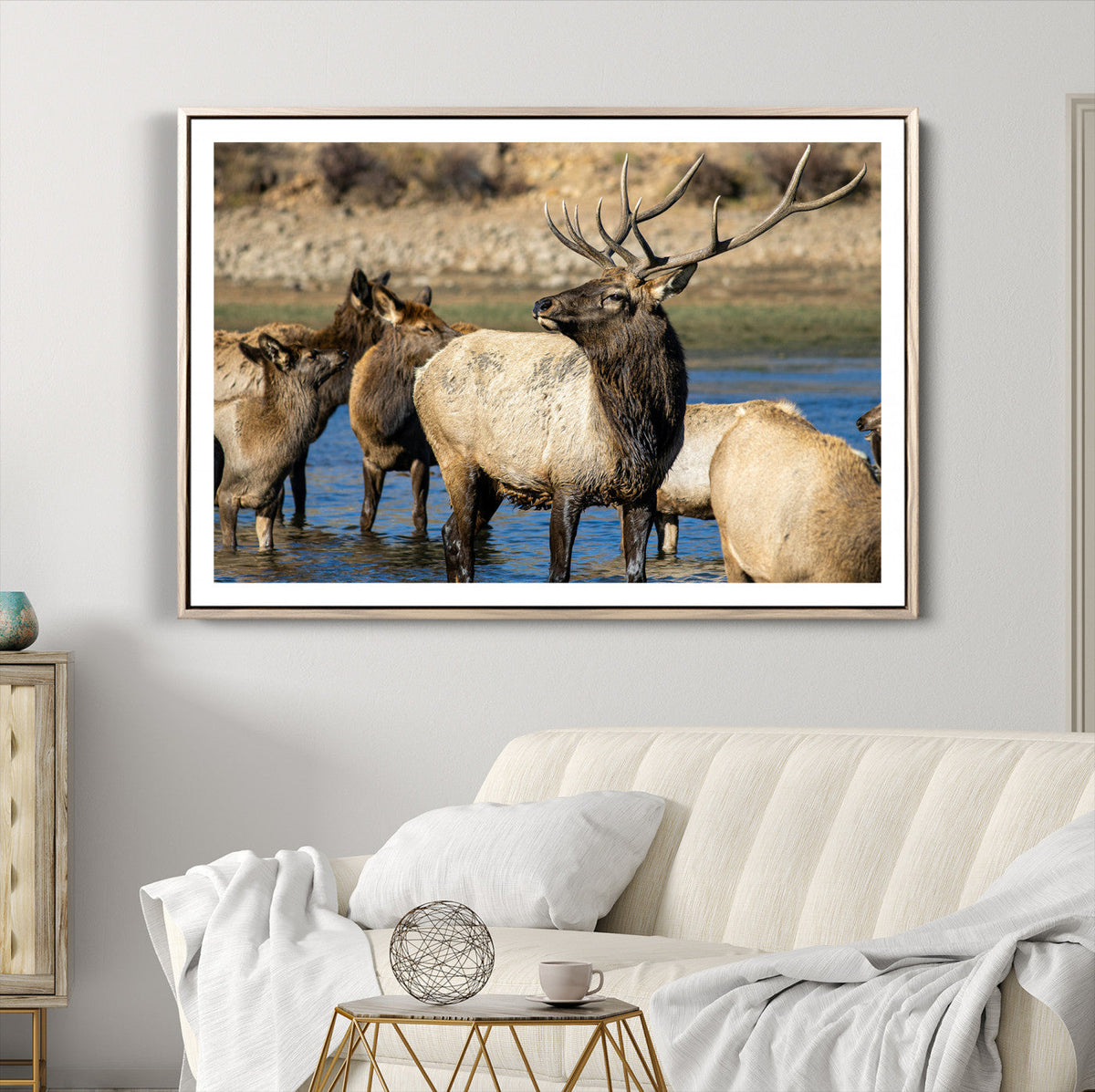 Wild Elk Wall Art Canvas Print – Framed Neutral Wildlife