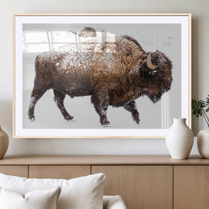 Snowy Buffalo Wall Art Canvas Print – Framed Wildlife