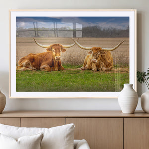 Texas Longhorn Pair Wall Art Canvas Print – Peaceful Rustic