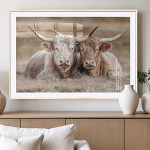 Couple Highland Cows Wall Art Canvas Print – Peaceful Meadow