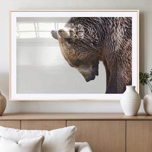 Grizzly Bear Canvas Wall Art Print – Framed Wildlife Nature