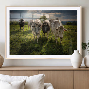 Grazing Cattle Herd Wall Art, Green Pasture Livestock Canvas