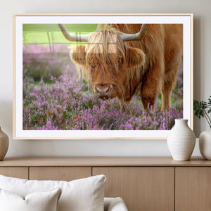 Highland Cow Wall Art – Purple Flowers Pasture Scenic