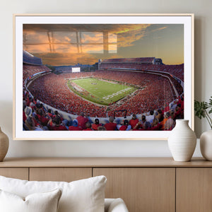 Dooley Stadium Wall Art, Sports Arena Canvas Print, Dooley