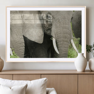 Wild Elephant Wall Art Canvas Print