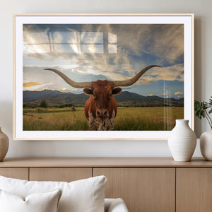 Texas Longhorn Canvas Wall Art – Majestic Triptych Animal