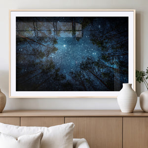 Forest and Stars Wall Art Canvas Print