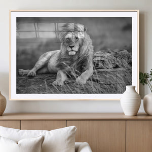 King Forest Lion Wall Art Canvas Print – Framed Majestic