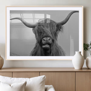 Texas Cow Wall Art Canvas, Texas Longhorn Cattle Canvas