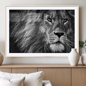 Black and White Lion Canvas Wall Art Print – Wildlife