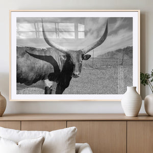 Cattle Wall Art Longhorn Cow Canvas Print