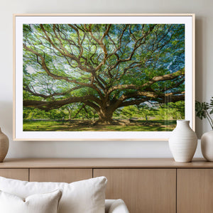 Majestic Oak Tree Wall Art – Serene Nature Canvas Print with