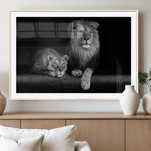 Large Black and White Lion Couple Wall Art Canvas Print –