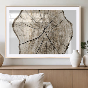 Abstract Wood Tree Ring Wall Art - Ready to Hang Minimalist