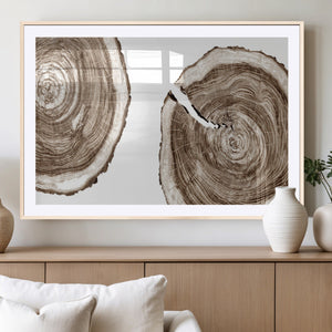 Wood Tree Ring Wall Art Canvas Prints, Tree Rings –