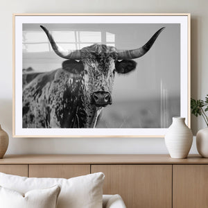 Texas Highland Cow Longhorn Canvas Print - Rustic Farmhouse