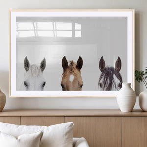 Horse Prints Set, Set of 3 Horse Wall Art, Horses Portraits,