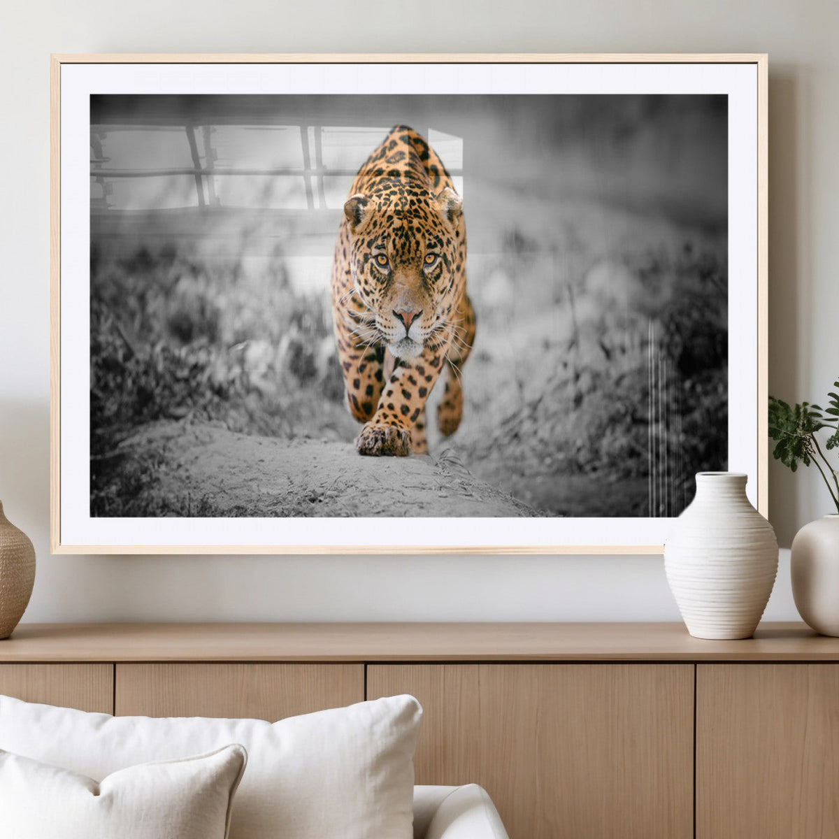 Jaguar Wall Art Canvas Print - Majestic Big Cat in Focused