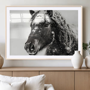 Framed Black and White Horse Wall Art | Ready to Hang and